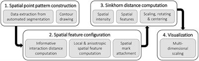 A novel statistical methodology for quantifying the spatial arrangements of axons in peripheral nerves